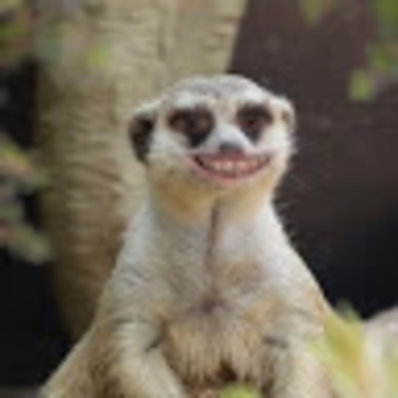 Meet your Posher, Marilou - Picture 1 of 1